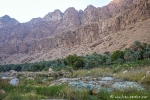 Wadi Tiwi