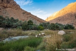 Wadi Tiwi