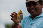 Hübsch, aber mit Vorsicht zu behandeln - Piranha