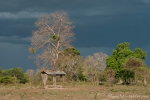 Eine Regenfront zieht heran