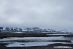 Das kleine Inselchen Moffen Island hat in der Mitte eine Lagune