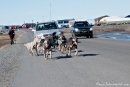Hundeschlittentraining in Longyearbyen