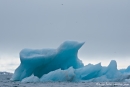 Der Eisberg sieht aus wie ein Vogel