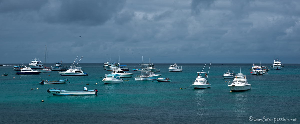 Unzählige Yachten im azurblauen Wasser - das ist Galapagos