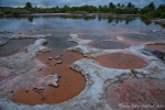 Brackwasserlagune - Insel Isabela