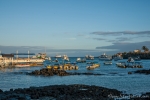 Im Hafen von Santa Cruz - Galapagos-Insel