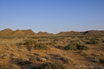 Südafrika - Goegap NR