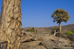 Südafrika - Goegap NR