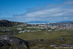 Um Ilulissat herum werden die Schlittenhunde geparkt