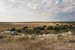 Botswana - Kgalagadi TP - Mabuasehube Section