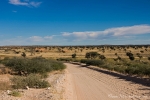 Kgalagadi Transfrontier Park