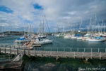 Yachthafen von Coffs Harbour