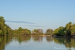 Pantanal