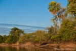 Pantanal