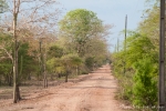 Pantanal