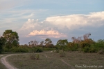 Pantanal