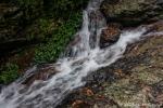 An den Tristania Falls im Dorrigo NP