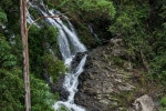 Einer der vielen Wasserfälle im Dorrigo NP