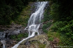 An den Tristania Falls im Dorrigo National Park
