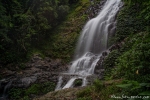 Tristania Falls im Dorrigo National Park