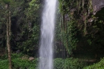 Crystal Shower Fall - Dorrigo National Park