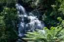 Wasserfall im Regenwald