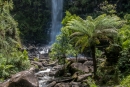 Wasserfall im Regenwald