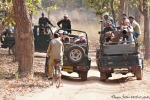 Parkmitarbeiter bewegen sich per Fahrrad und unbewaffnet durch den Park - Bandhavgarh National Park