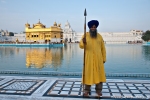 Tempelwächter - Goldener Tempel, Amritsar