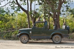 Von Affen gekidnappt - Gypsy-Jeep für die Safari im Corbett National Park