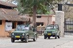 Mit diesen offenen Gypsy-Jeeps ist man im Nationalpark unterwegs, Corbett National Park