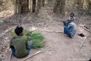 Die Parkangestellten basteln sich ihr Arbeitsgerät - einen  Besen - Kanha National Park