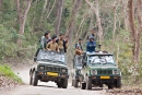 Warten auf den Tiger - Corbett National Park