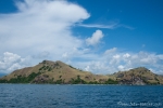 Insel Rinca, Flores und Komodo