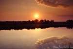 Sonnenuntergang im Okavangodelta