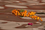 Opfergabe - Blumenkette im Ganges