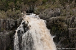 Apsley Falls - Oxley National Park