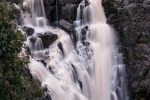 Die Apsley Falls stürzen 50 Meter in die Tiefe - Oxley National Park