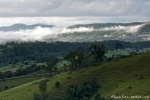 Im Wollomombi National Park