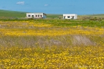 Südafrika - Namaqualand