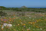 Südafrika