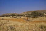 Südafrika - Witsands NR