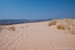 Südafrika - Witsands NR
