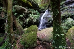 Wasserfall in Mt. Wilson - Wollemi National Park